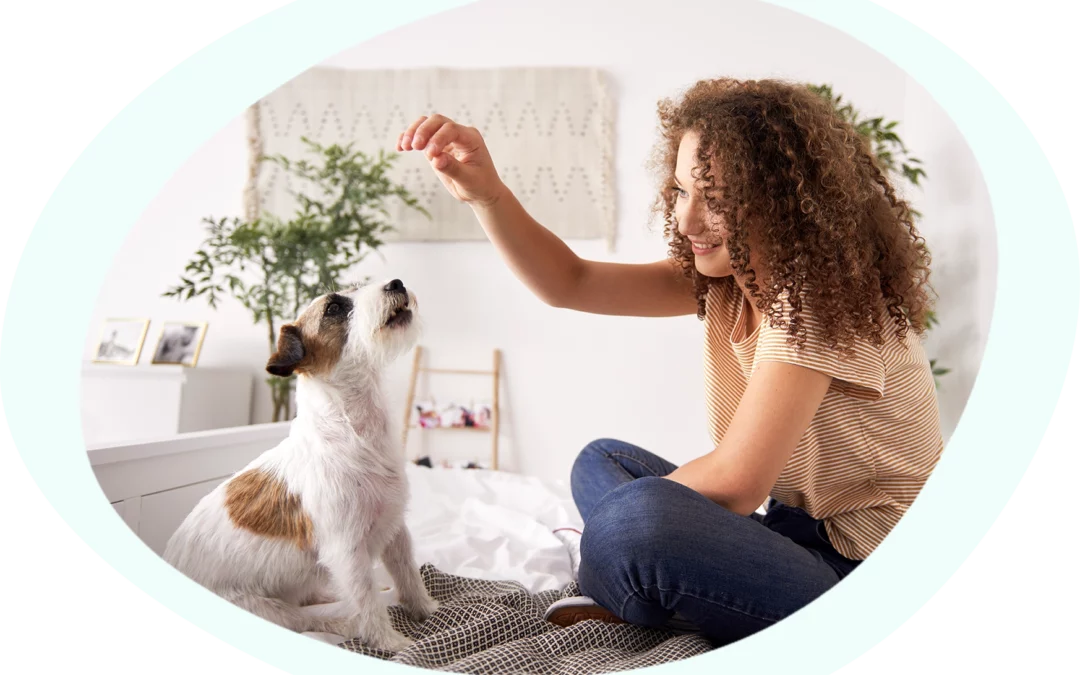 These are the most popular dog tricks