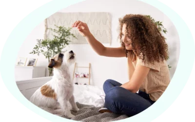 These are the most popular dog tricks