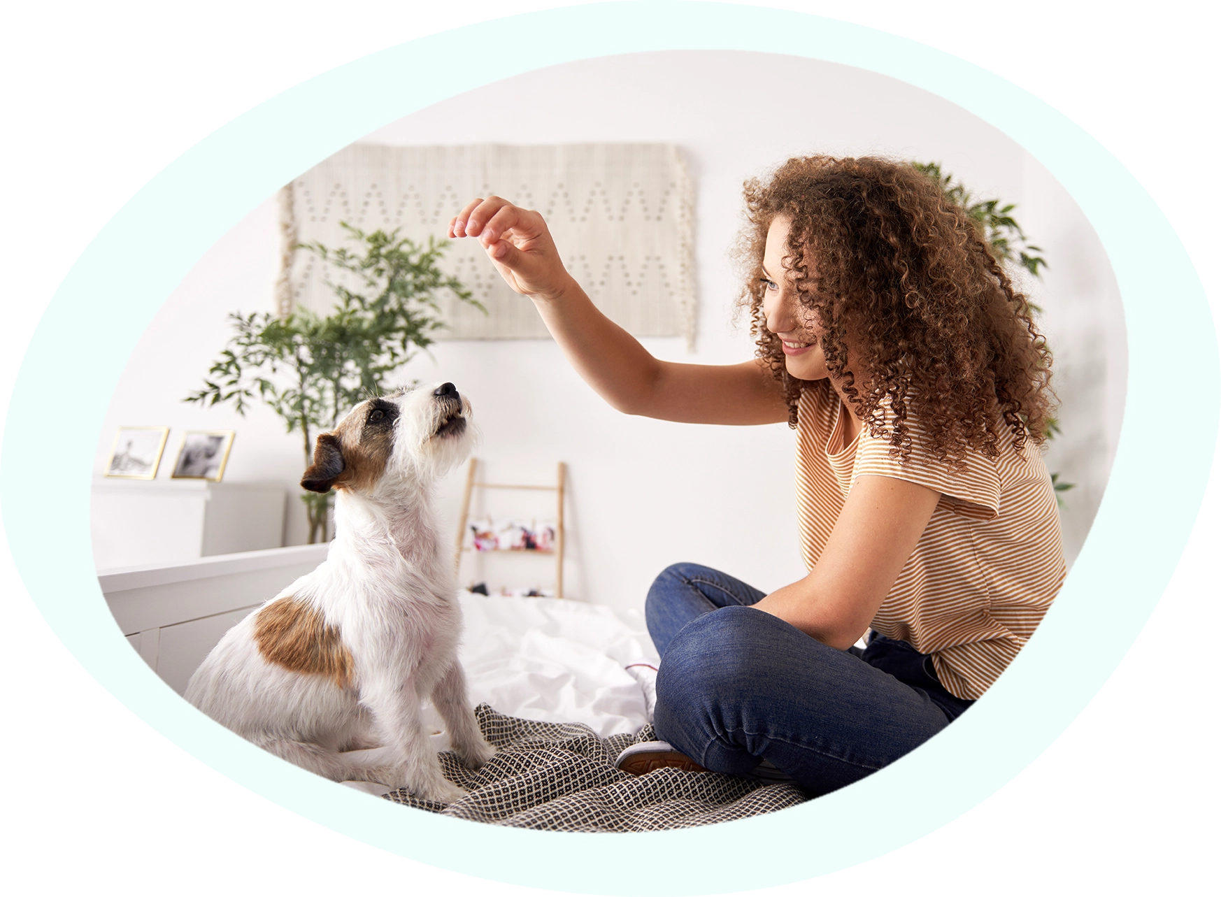 petaid_blog_dog-tricks